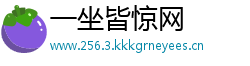 一坐皆惊网
